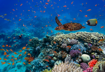 biodiversity loss corporate agenda